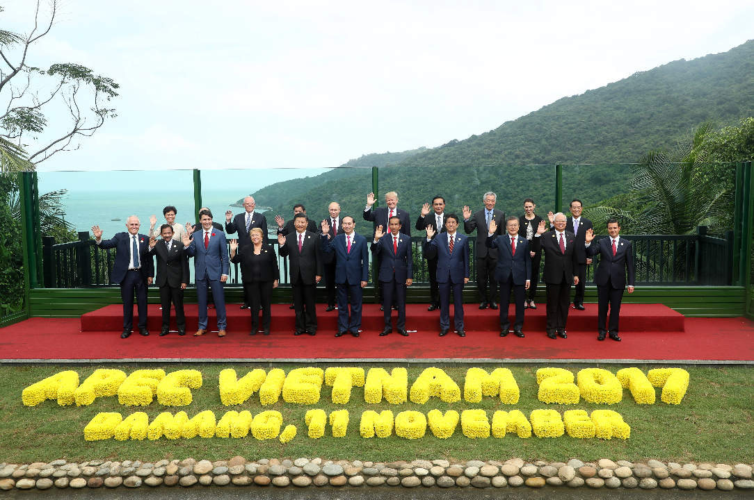 문재인 대통령 동남아시아 3개국 순방  제25차 APEC 정상회의(베트남 다낭) 참석 - APEC 참가국 정상 기념촬영