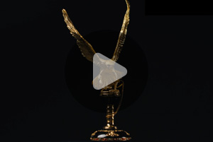 금도금 매 이미지